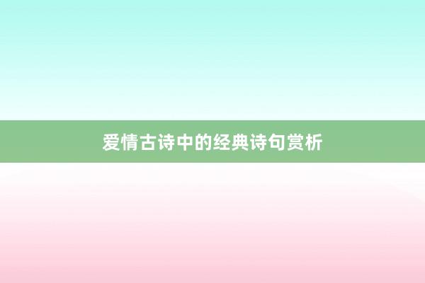 爱情古诗中的经典诗句赏析